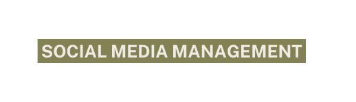 social media management